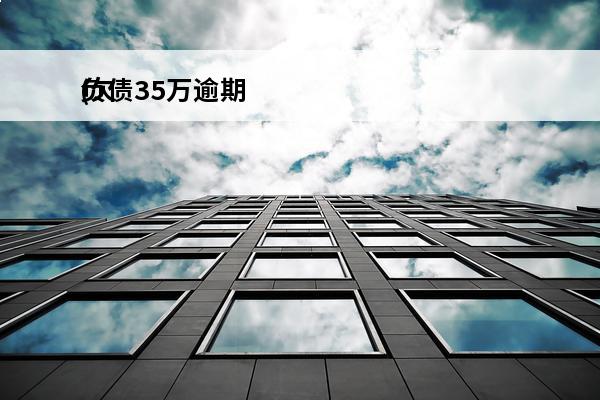负债35万逾期
(欠债35万)