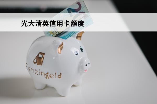光大清英信用卡额度
(光大银行菁英卡额度)
