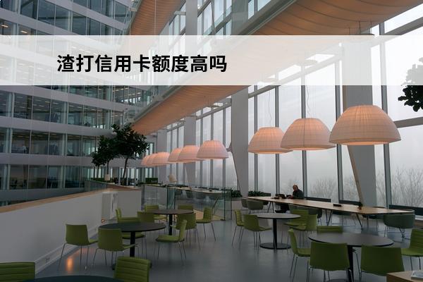 渣打信用卡额度高吗
(渣打银行支持银联吗)