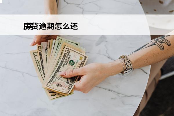 房贷逾期怎么还
(房贷逾期怎么还款)