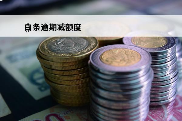 白条逾期减额度
()
