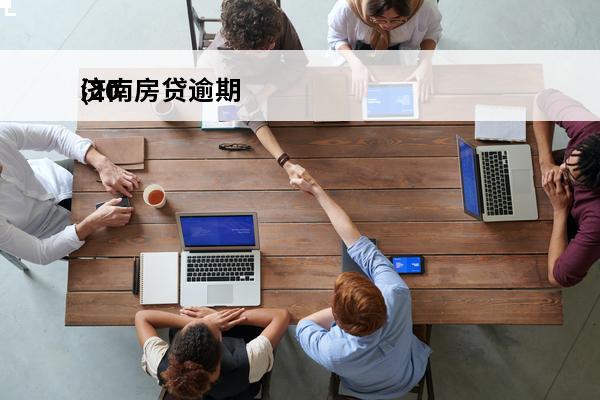 济南房贷逾期
(2020房贷大量逾期)