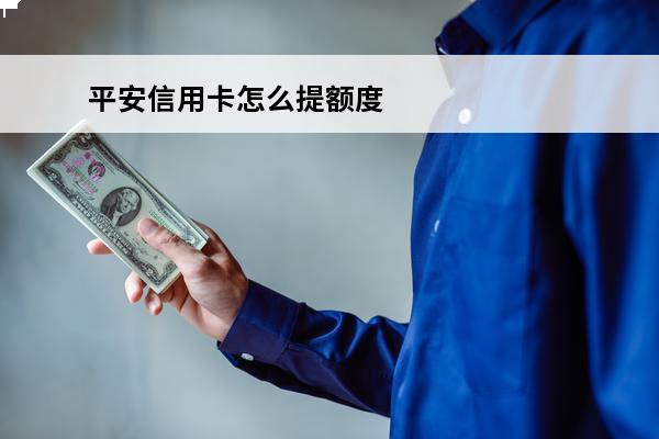 平安信用卡怎么提额度
(平安信用卡怎么提额度最快)