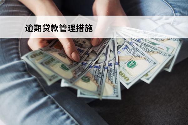 逾期贷款管理措施
 银行逾期贷款管理