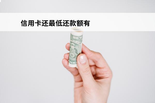 信用卡还最低还款额有利息吗
(信你用卡还最低会怎样)