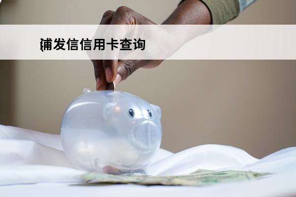 浦发信信用卡查询
(浦发怎么查信用卡号)
