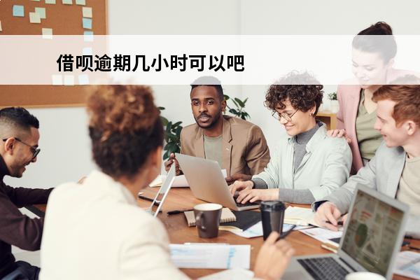 借呗逾期几小时可以吧
 借呗逾期几个小时有影响吗