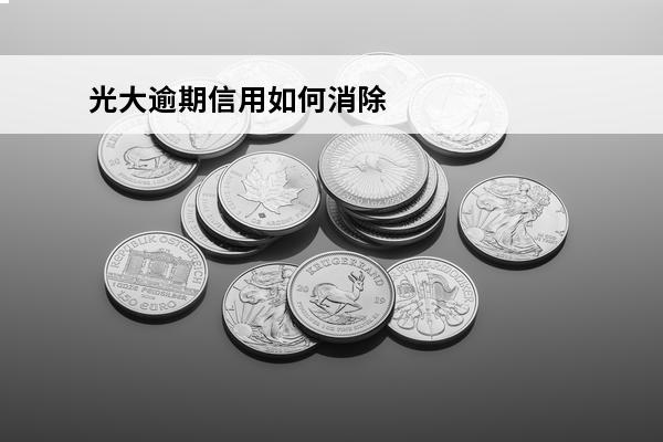光大逾期信用如何消除
(光大逾期信用如何消除)
