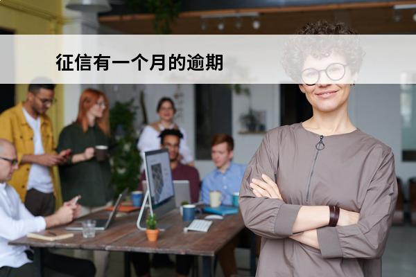 征信有一个月的逾期
(征信有一个月的逾期记录影响申请信用卡吗)