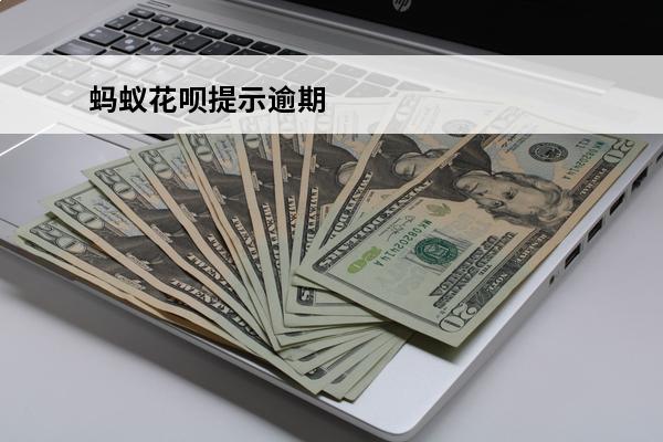 蚂蚁花呗提示逾期
 蚂蚁花呗逾期多少天就出现在征信报告中