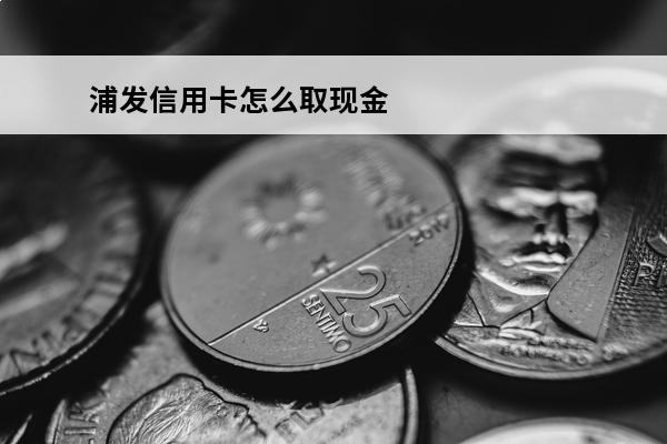 浦发信用卡怎么取现金
(浦发信用卡取现金10000手续费多少钱)