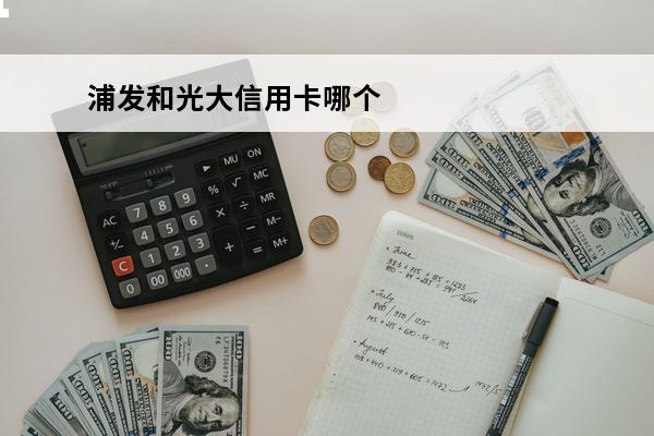 浦发和光大信用卡哪个好
(浦发和光大信用卡哪个好办)