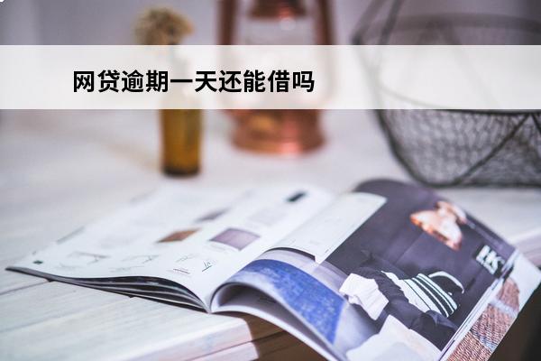 网贷逾期一天还能借吗
 网贷逾期一天还可以借网贷吗