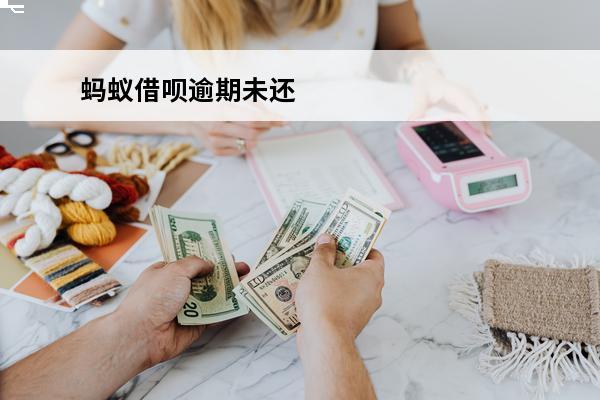 蚂蚁借呗逾期未还
 蚂蚁借呗逾期还款