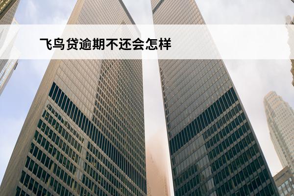 飞鸟贷逾期不还会怎样
(飞鸟贷款上征信吗)
