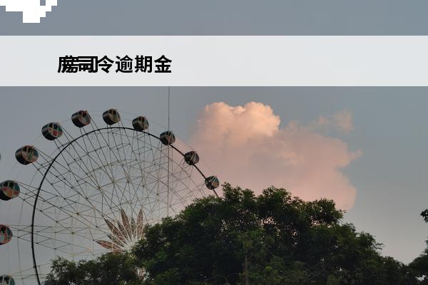 房司令逾期金
 房司令上征信吗
