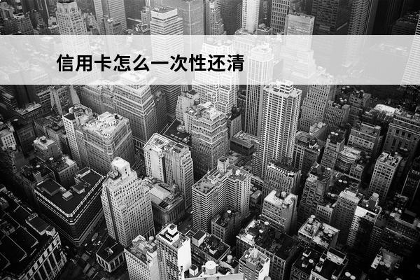 信用卡怎么一次性还清
(平安银行信用卡怎么一次性还清)