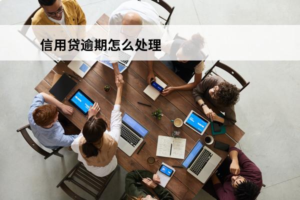 信用贷逾期怎么处理
(信用贷逾期会有什么后果?)
