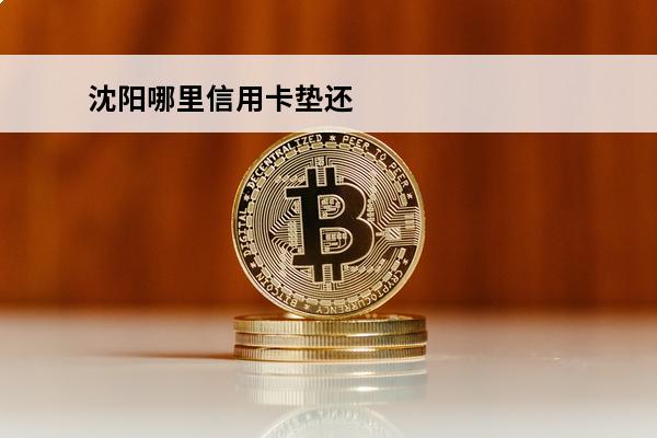 沈阳哪里信用卡垫还
(沈阳办信用卡业务员电话)