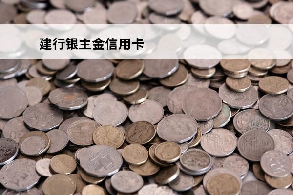 建行银主金信用卡
 建行信用金卡有什么好处