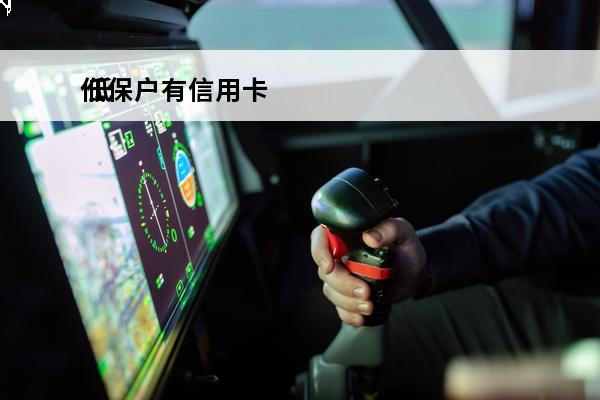 低保户有信用卡
 低保户有信用卡能办吗