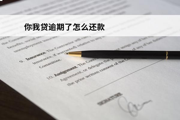 你我贷逾期了怎么还款
(你我贷逾期30天后还了,结果要我一次性还完其他)