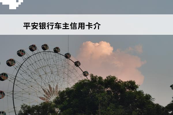 平安银行车主信用卡介绍
(平安银行车主卡信用卡怎么样)