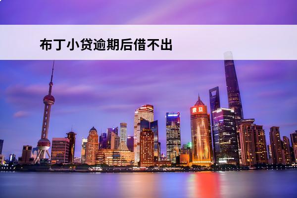 布丁小贷逾期后借不出
(布丁小贷还了又不承认)