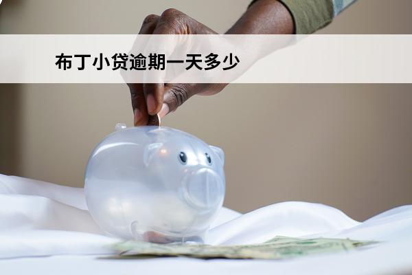 布丁小贷逾期一天多少
(布丁小贷上征信吗)