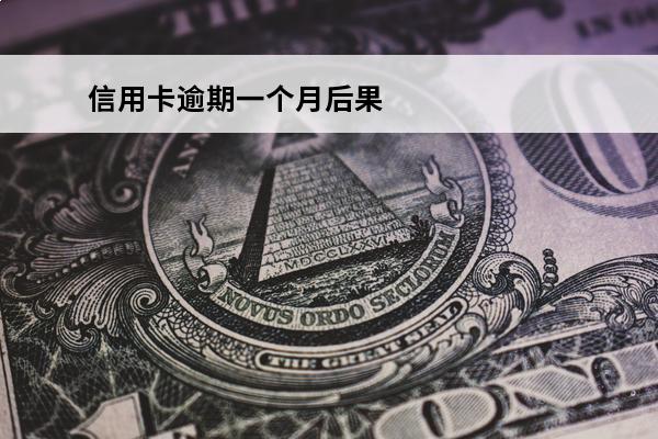 信用卡逾期一个月后果
(信用卡100元逾期一个月)