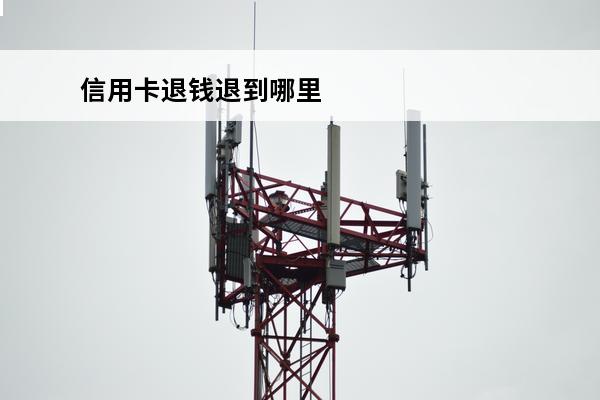 信用卡退钱退到哪里
(信用卡退钱退到哪里去了)