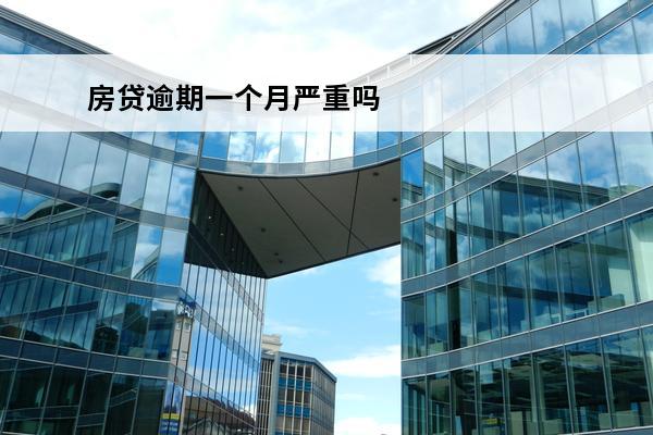 房贷逾期一个月严重吗
 房贷逾期一个月了要还多少利息
