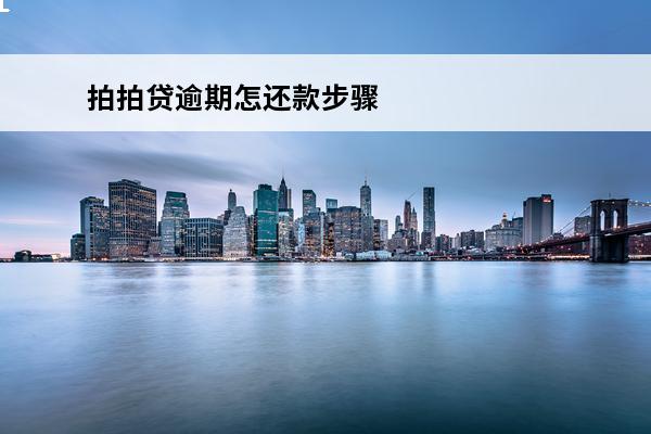 拍拍贷逾期怎还款步骤
(拍拍贷逾期会怎么样?逾期后果严重吗?)