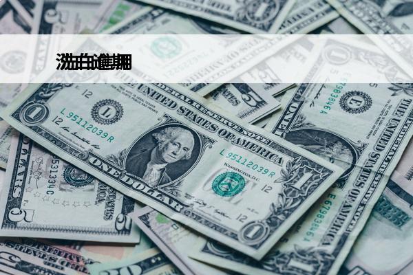 洗白逾期
 洗白信用