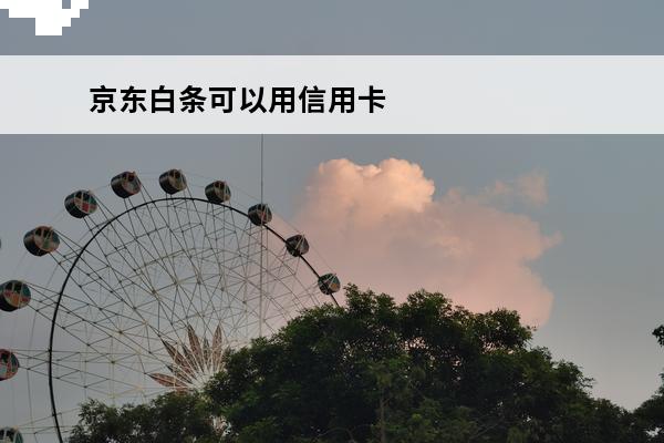 京东白条可以用信用卡还款吗
(京东白条可以用来还信用卡吗)