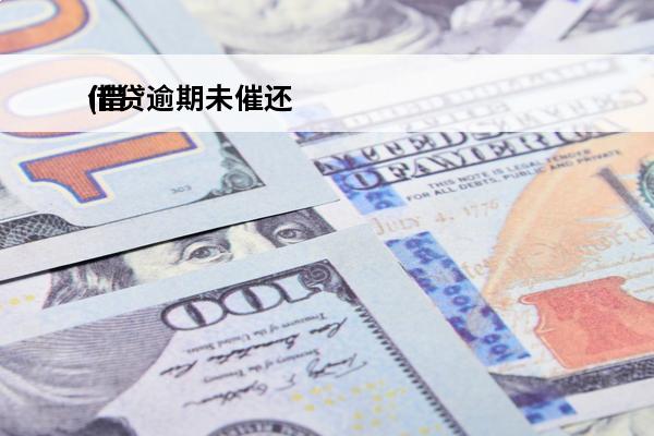 借贷逾期未催还
(借款逾期未还)