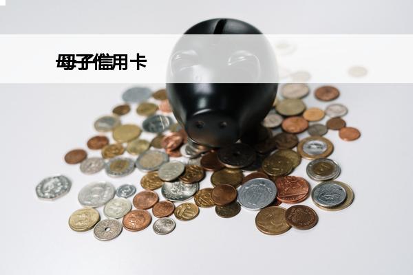 母子信用卡
 母子信用卡的子卡在国外可以提现吗