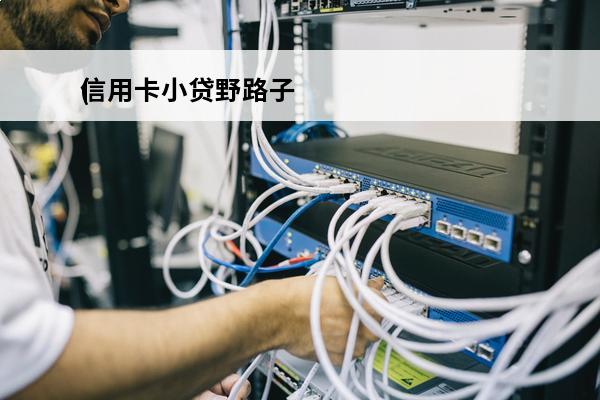 信用卡小贷野路子
(一个叫信用卡贷的平台)