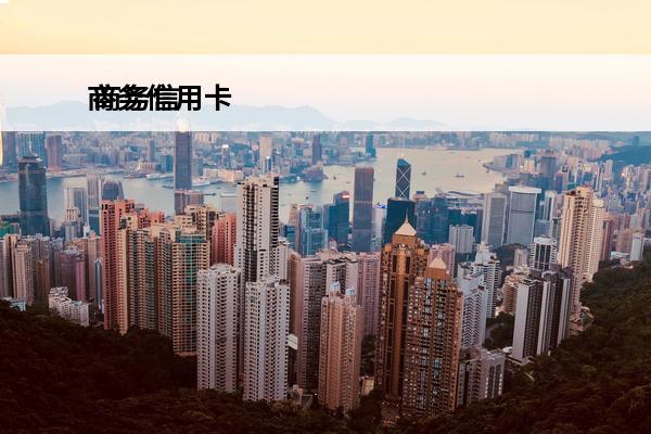 商务信用卡
 商务信用卡可以分期吗