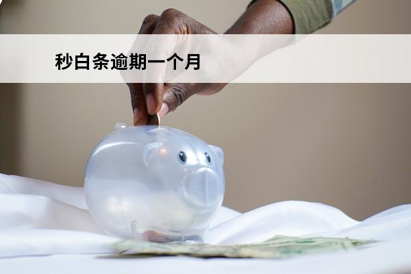 秒白条逾期一个月
 白条逾期一个多月会怎么样