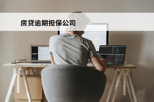 房贷逾期担保公司
 房贷逾期担保公司垫付后起诉要求24%利息