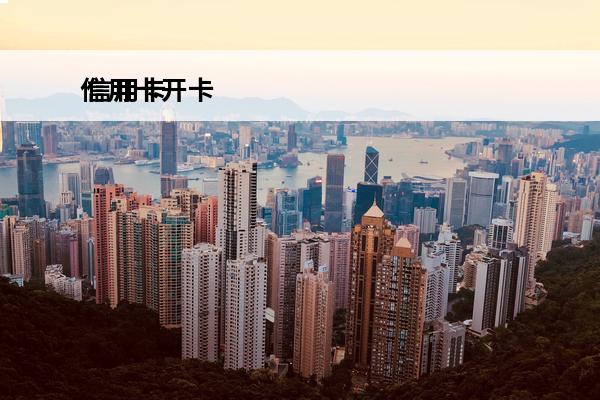 信用卡开卡
 信用卡开卡日期在哪看