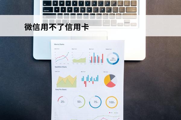 微信用不了信用卡
 微信用不了信用卡支付怎么解决
