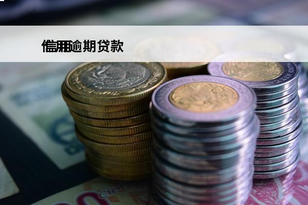 信用逾期贷款
 信用