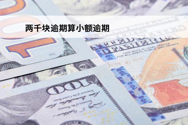 两千块逾期算小额逾期么
(逾期两千多块钱能告法庭吗)