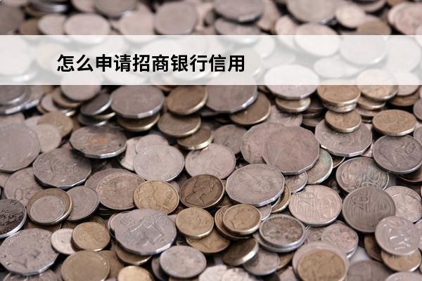怎么申请招商银行信用卡
(怎么申请招商银行信用卡延期还款)