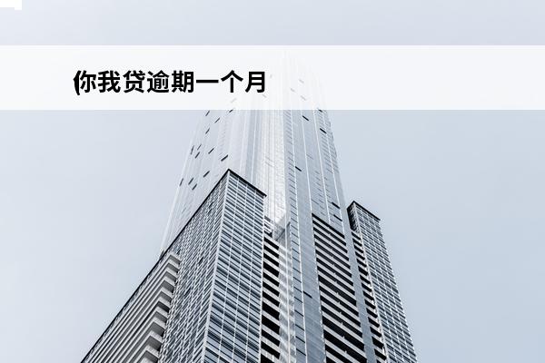 你我贷逾期一个月
(你我贷逾期一个月会有啥后果)
