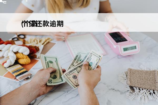 个贷还款逾期
(个贷逾期多久记不良)