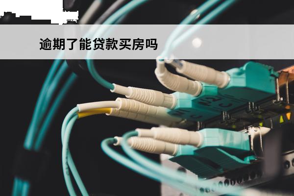 逾期了能贷款买房吗
(逾期了还可以贷款买房吗)