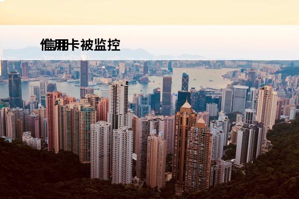 信用卡被监控
 信用卡被监控到异常消费